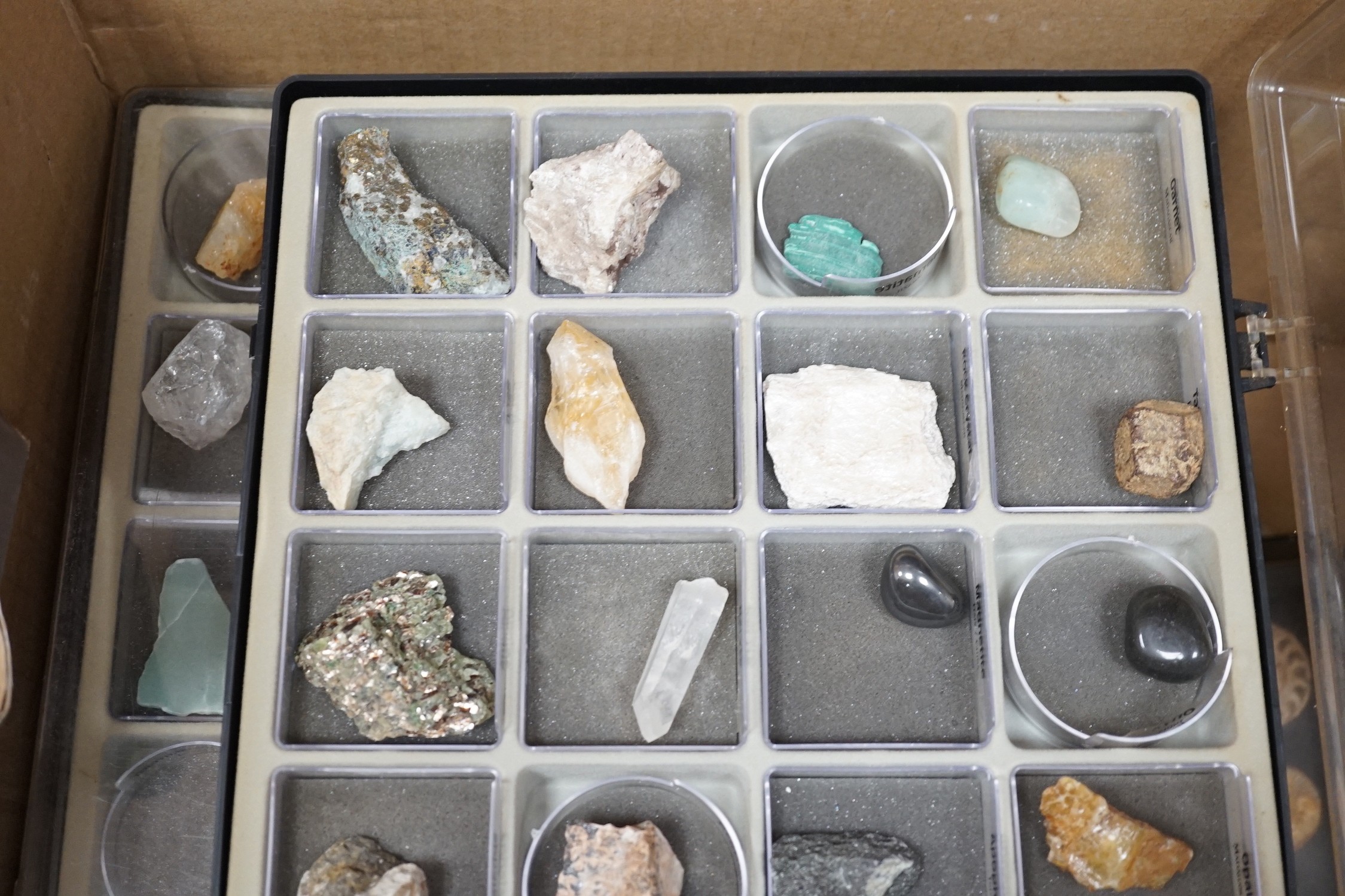 A group of assorted mineral and fossil specimens